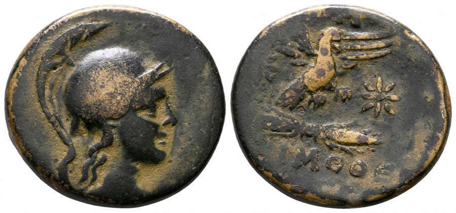 ANTİK SİKKELER NÜMİZMATİK_HS89 (6).jpg