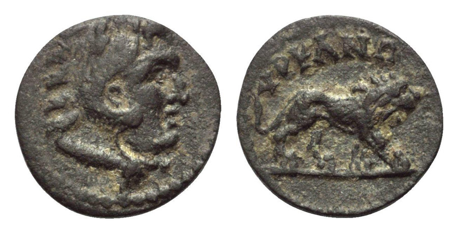 ANTİK SİKKELER NÜMİZMATİK_Hyrkania 1 (10).jpg