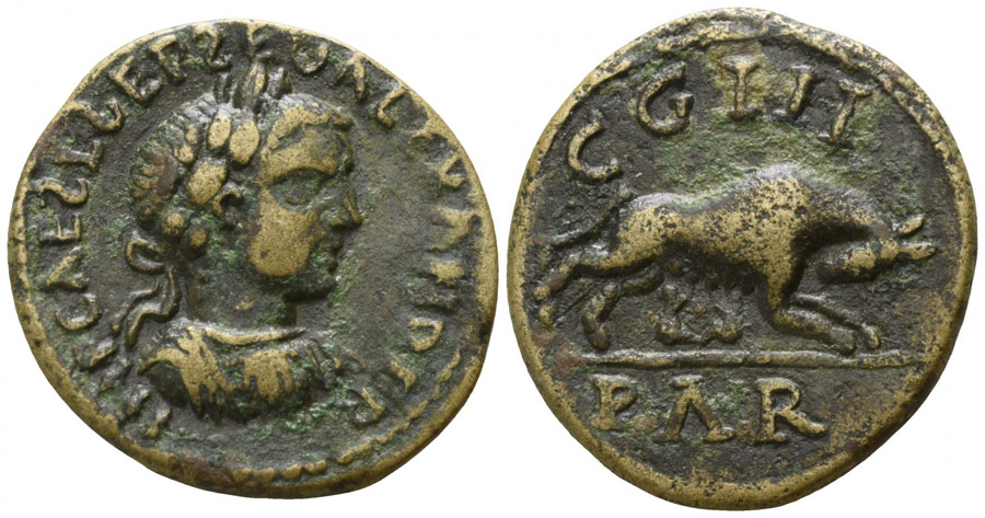 ANTİK SİKKELER NÜMİZMATİK_HYT (5).jpg