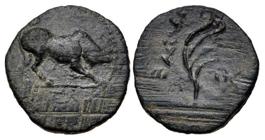 ANTİK SİKKELER NÜMİZMATİK_J78CS (1).jpg