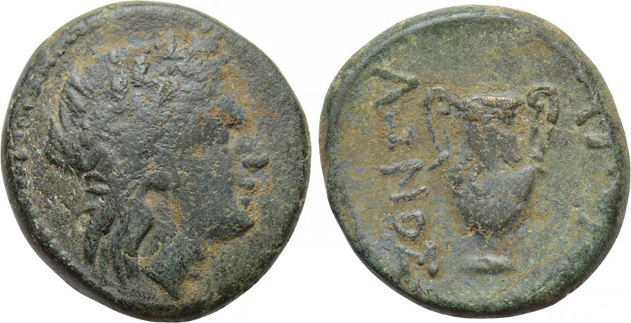 ANTİK SİKKELER NÜMİZMATİK_J88ASD (6).jpg