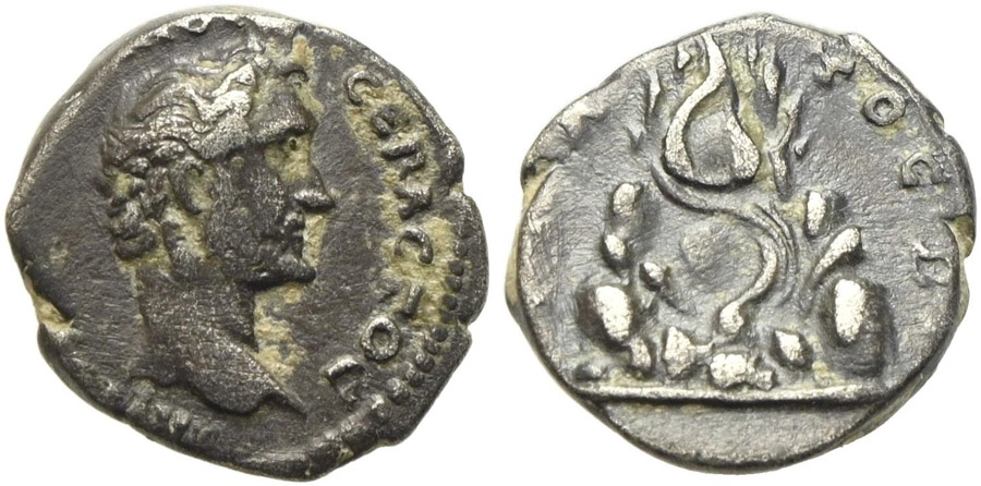 ANTİK SİKKELER NÜMİZMATİK_Kaisareia9 (7).jpg