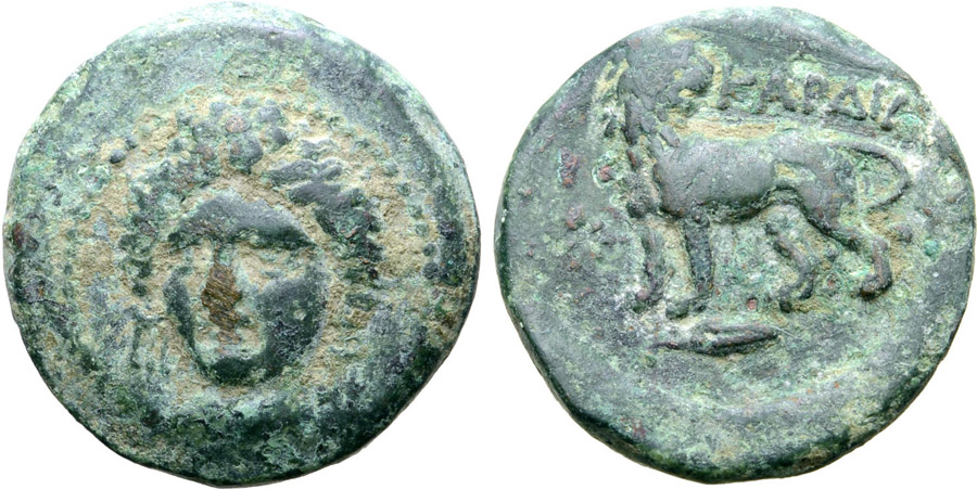 ANTİK SİKKELER NÜMİZMATİK_KARDIA4 (8).jpg