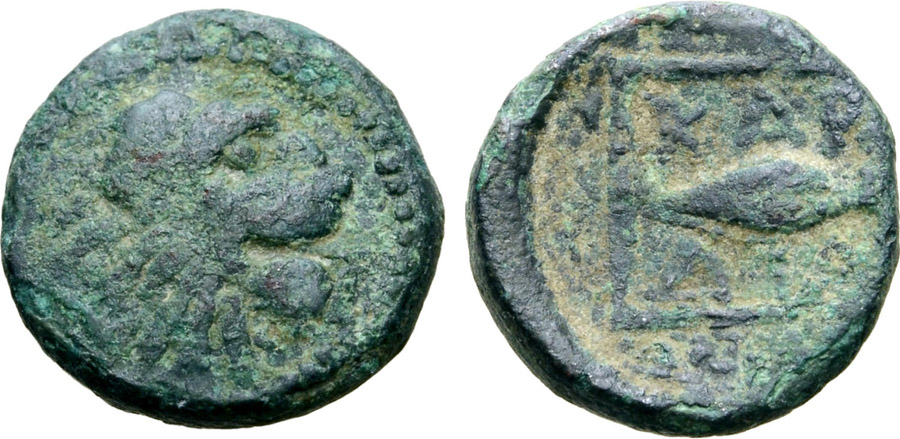 ANTİK SİKKELER NÜMİZMATİK_KARDIA7 (5).jpg