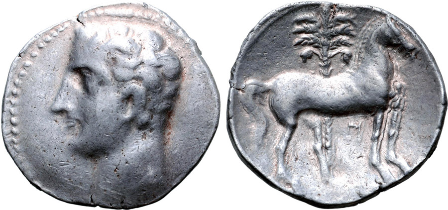 Antik Sikkeler Nümizmatik_Kartaca12 (5).jpg