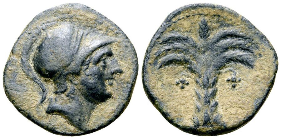 Antik Sikkeler Nümizmatik_Kartaca9 (10).jpg