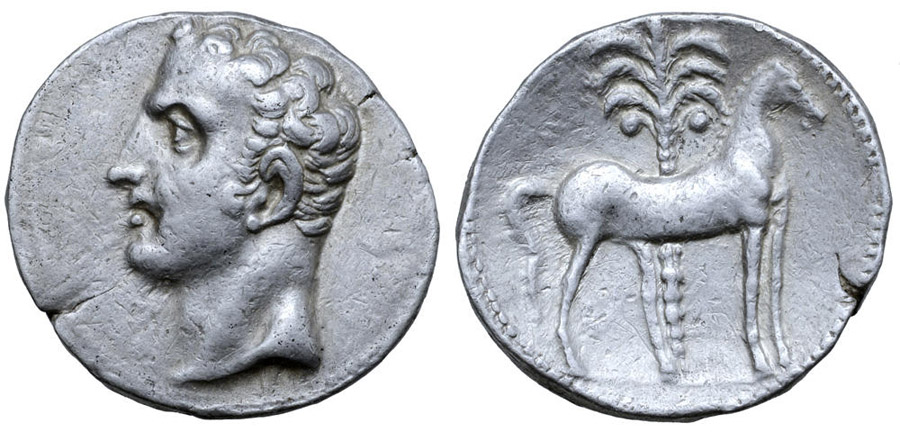 Antik Sikkeler Nümizmatik_Kartaca9 (4).jpg