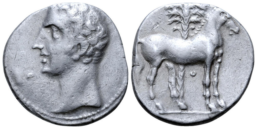 Antik Sikkeler Nümizmatik_Kartaca9 (9).jpg