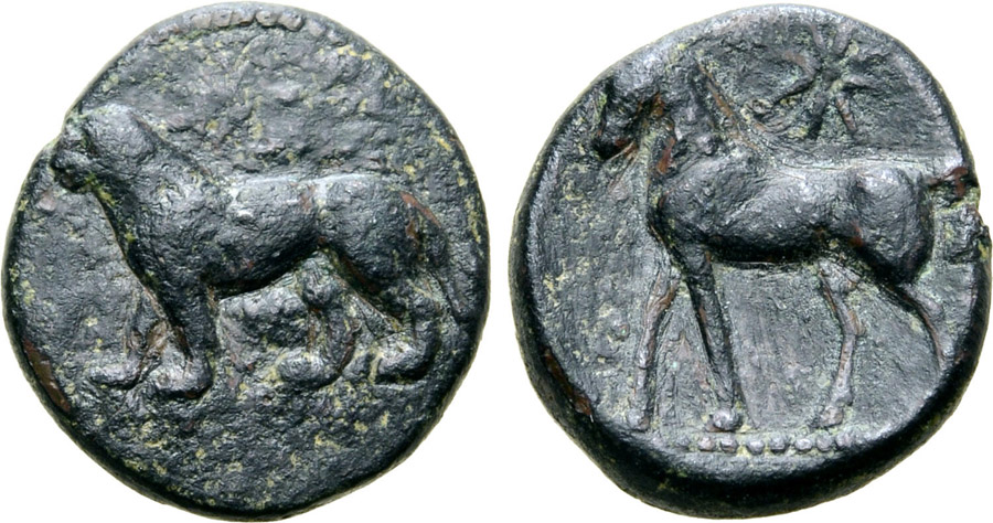 ANTİK SİKKELER NÜMİZMATİK_KITION8 (1).jpg