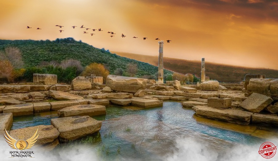 ANTİK SİKKELER NÜMİZMATİK_KOLPHON (1).jpg