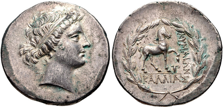 ANTİK SİKKELER NÜMİZMATİK_KYME (7).jpg