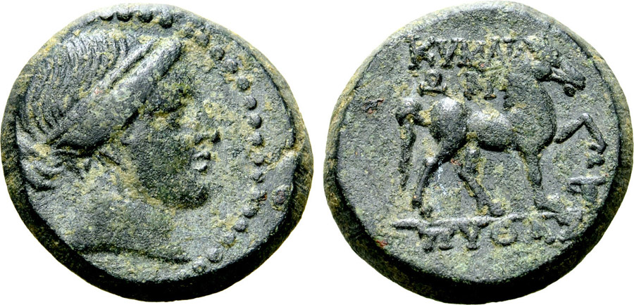 ANTİK SİKKELER NÜMİZMATİK_KYME1 (4).jpg