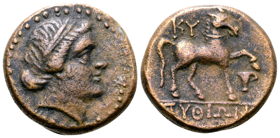 ANTİK SİKKELER NÜMİZMATİK_KYME1 (5).jpg