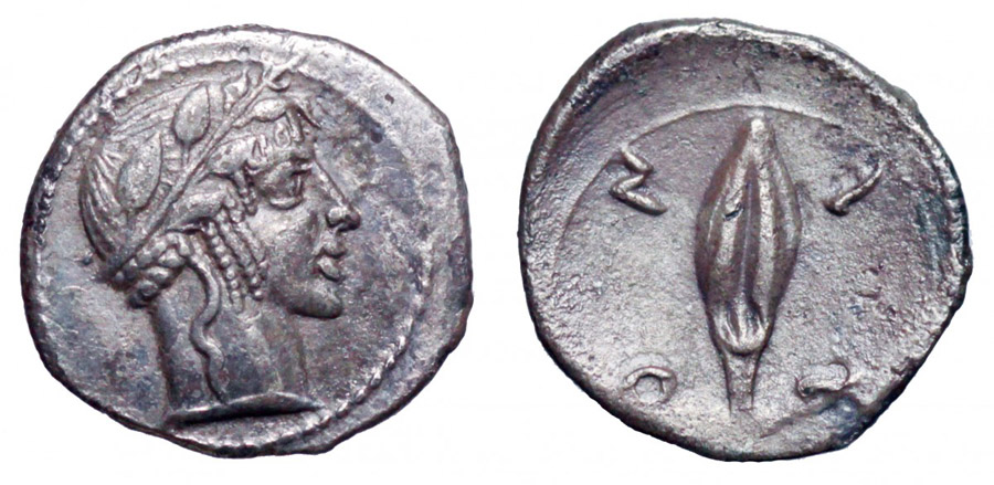 ANTİK SİKKELER NÜMİZMATİK_LEO (8).jpg