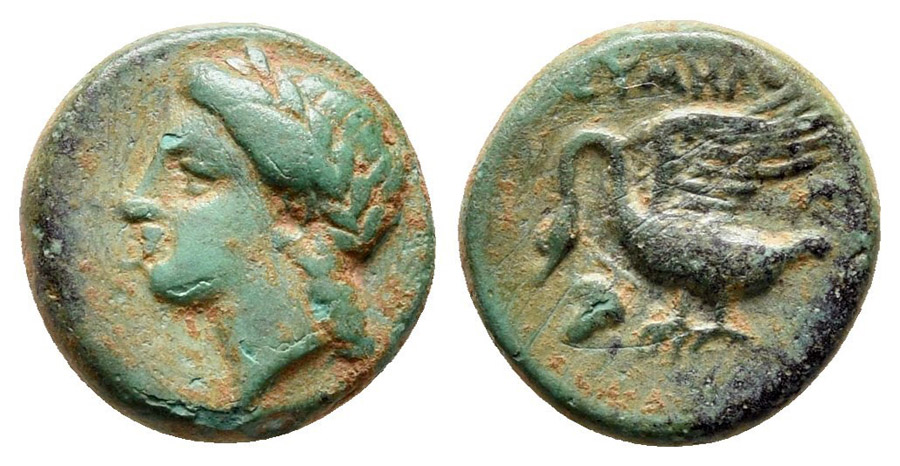 ANTİK SİKKELER NÜMİZMATİK_Leukai (7).jpg