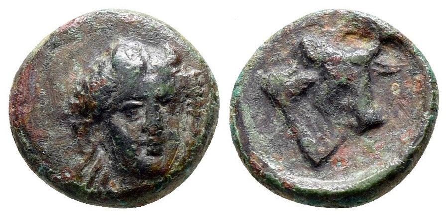 ANTİK SİKKELER NÜMİZMATİK_LRS6 (2).jpg