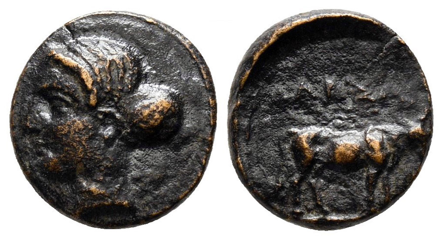 ANTİK SİKKELER NÜMİZMATİK_LRS6 (5).jpg