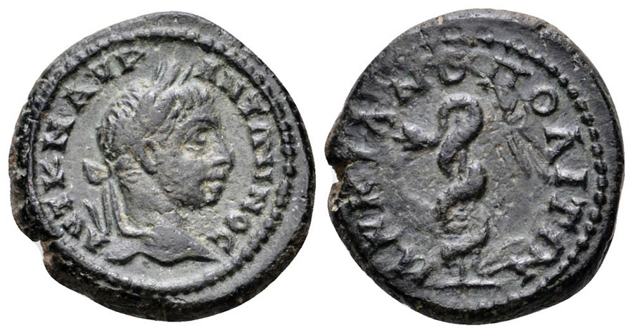 ANTİK SİKKELER NÜMİZMATİK_marcianopolis35 (8).jpg