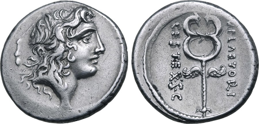 ANTİK SİKKELER NÜMİZMATİK_Marcus Plaetorius Cestianus  (20).jpg