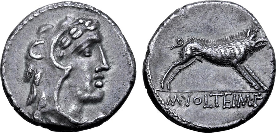 ANTİK SİKKELER NÜMİZMATİK_Marcus Volteius (15).jpg