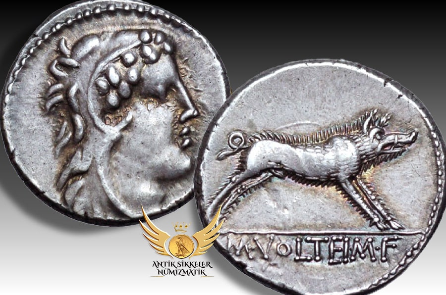 ANTİK SİKKELER NÜMİZMATİK_Marcus Volteius.jpg