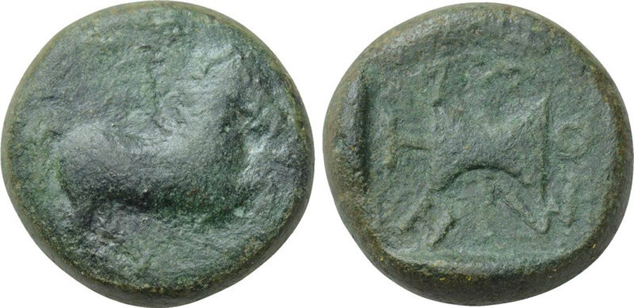 ANTİK SİKKELER NÜMİZMATİK_Metekos (11).jpg