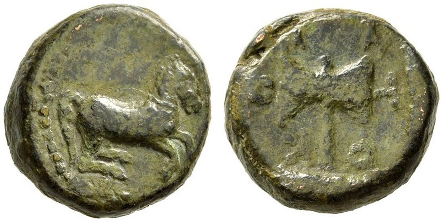 ANTİK SİKKELER NÜMİZMATİK_Metekos (13).jpg