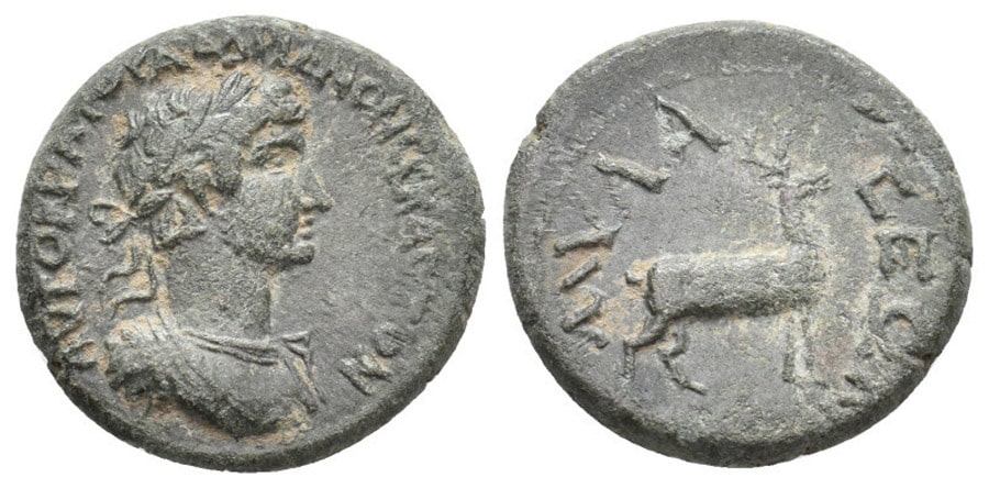 ANTİK SİKKELER NÜMİZMATİK_MYLASA (14).jpg