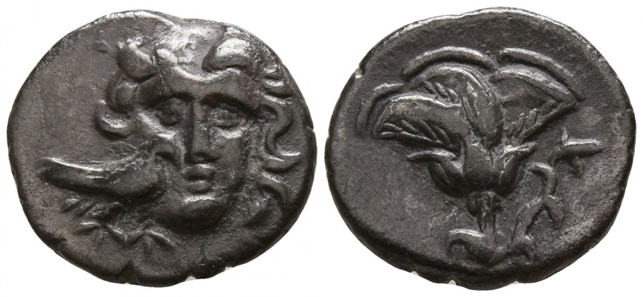 ANTİK SİKKELER NÜMİZMATİK_MYLASAF80 (1).jpg