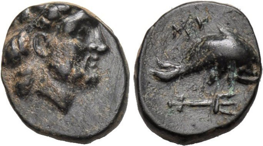 ANTİK SİKKELER NÜMİZMATİK_myous3 (5).jpg