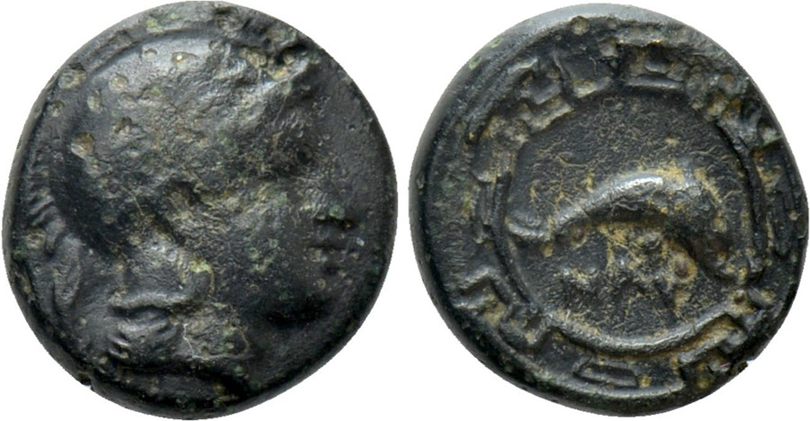 ANTİK SİKKELER NÜMİZMATİK_Naulochos (8).jpg