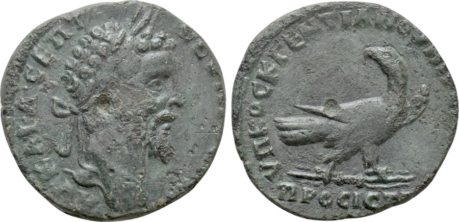 ANTİK SİKKELER NÜMİZMATİK_Nicopolis ad Istrum (6).jpg