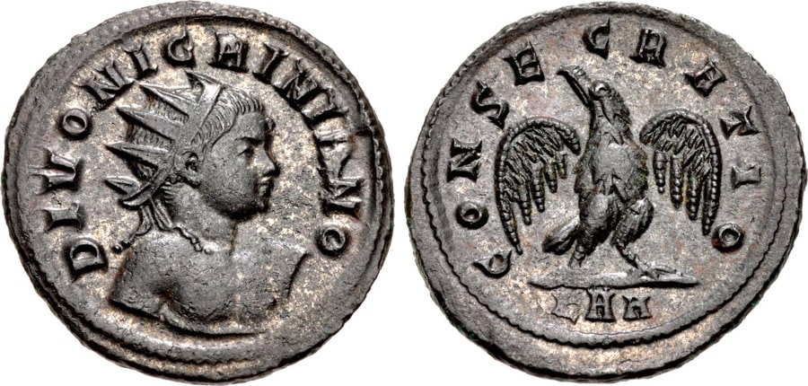 ANTİK SİKKELER NÜMİZMATİK_Nigrinianus (19).jpg