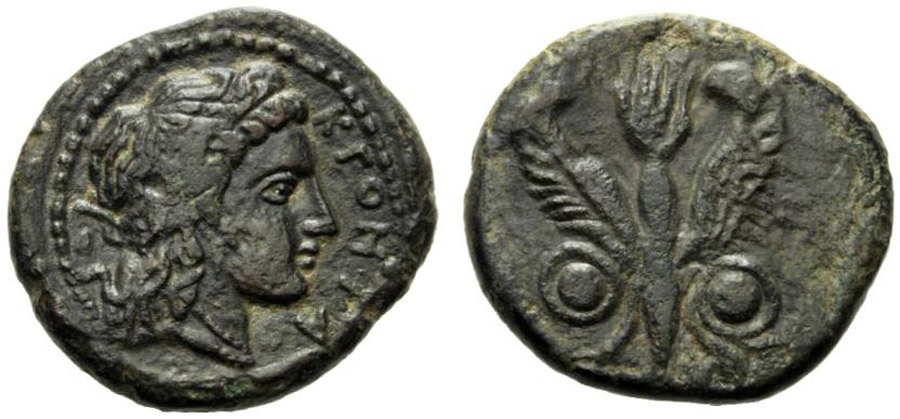 ANTİK SİKKELER NÜMİZMATİK_P095674 (5).jpg