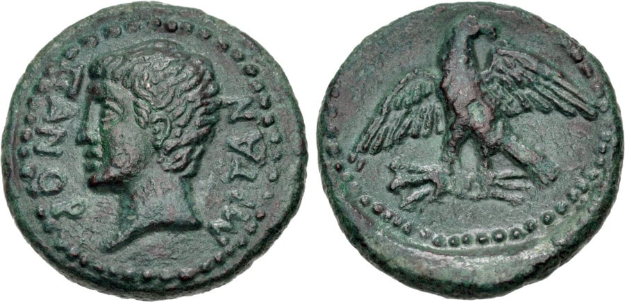 ANTİK SİKKELER NÜMİZMATİK_PANARMUS (10).jpg