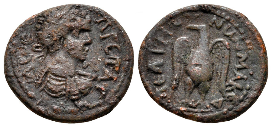 ANTİK SİKKELER NÜMİZMATİK_PELTAİI3 (10).jpg