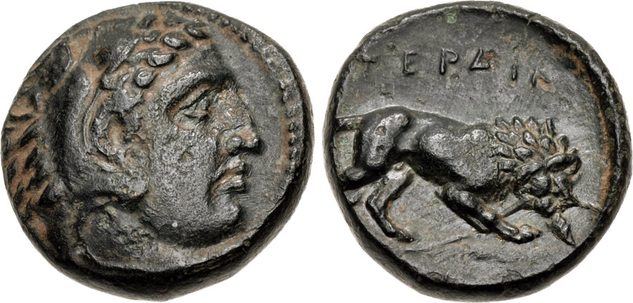 ANTİK SİKKELER NÜMİZMATİK_PERDİKKAS7 (11).jpg