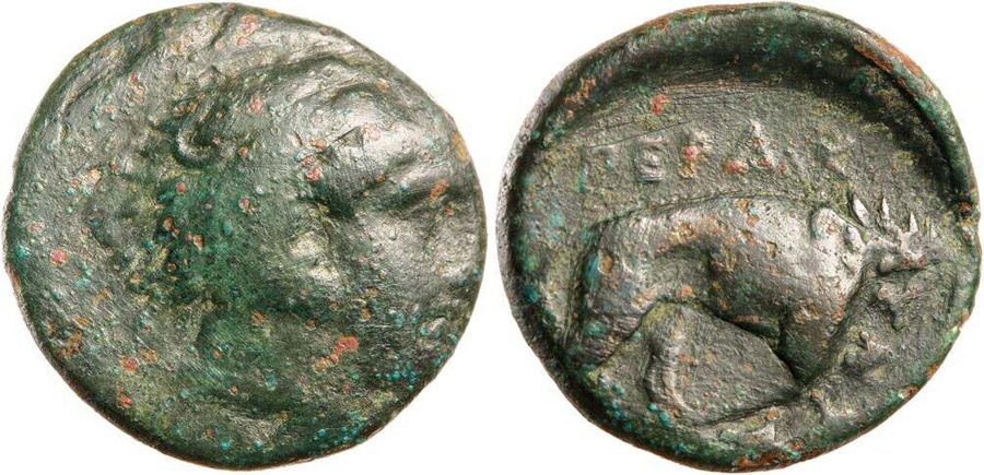 ANTİK SİKKELER NÜMİZMATİK_PERDİKKAS7 (7).jpg