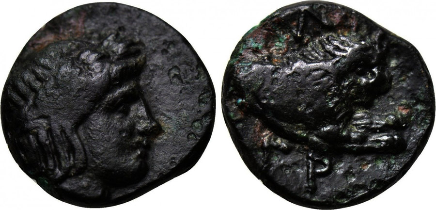 ANTİK SİKKELER NÜMİZMATİK_Phagres (9).jpg