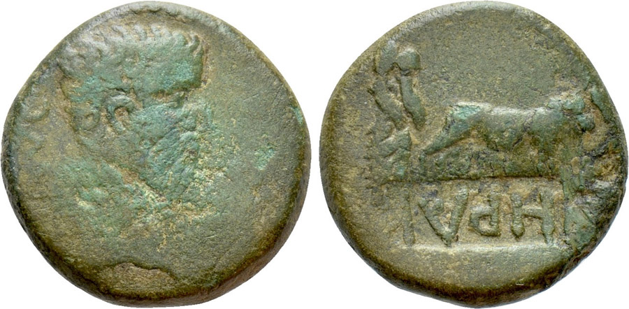 ANTİK SİKKELER NÜMİZMATİK_Philippoi007H (7).jpg