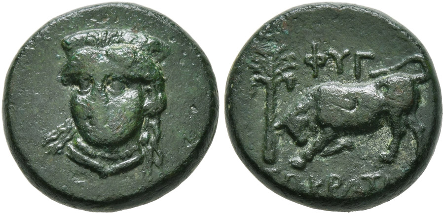 ANTİK SİKKELER NÜMİZMATİK_Phygela2 (3).jpg