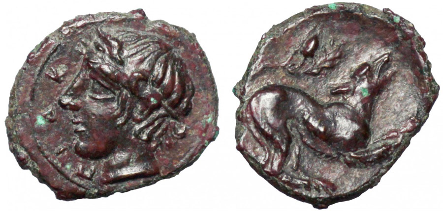 ANTİK SİKKELER NÜMİZMATİK_PIAKOS (11).jpg