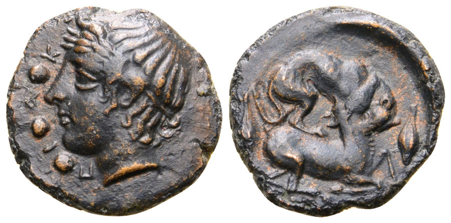 ANTİK SİKKELER NÜMİZMATİK_PIAKOS (5).jpg