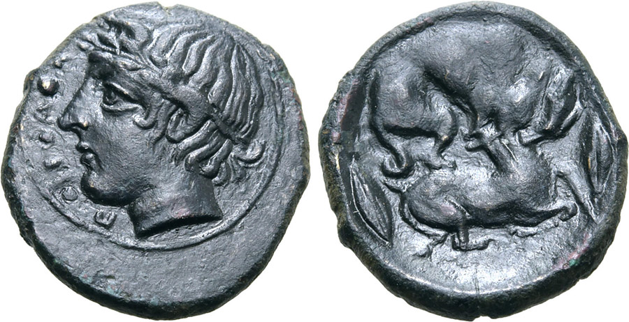 ANTİK SİKKELER NÜMİZMATİK_PIAKOS (9).jpg