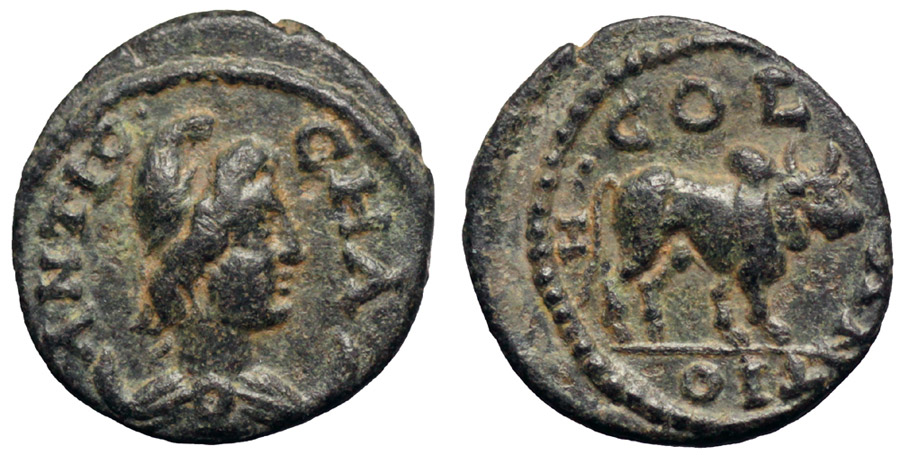 ANTİK SİKKELER NÜMİZMATİK_Pisidia Antiocheia6 (10).jpg