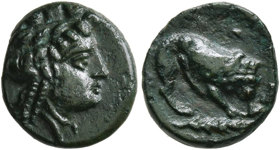 ANTİK SİKKELER NÜMİZMATİK_PL10C (4).jpg