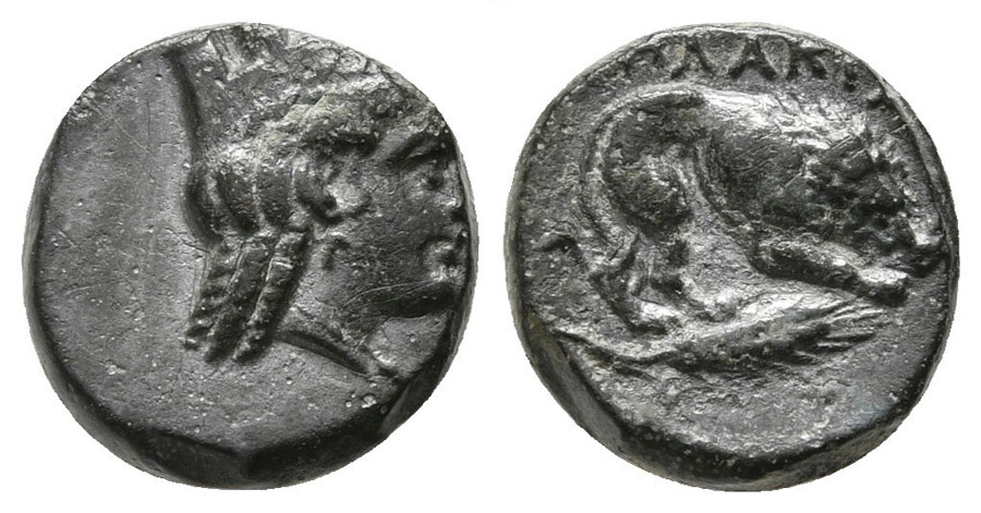 ANTİK SİKKELER NÜMİZMATİK_PL10C (5).jpg