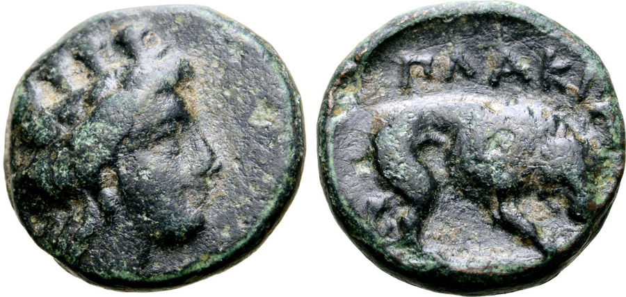 ANTİK SİKKELER NÜMİZMATİK_PL10C (6).jpg