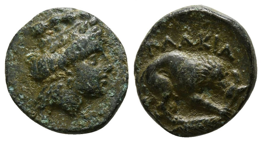 ANTİK SİKKELER NÜMİZMATİK_PL10C (9).jpg