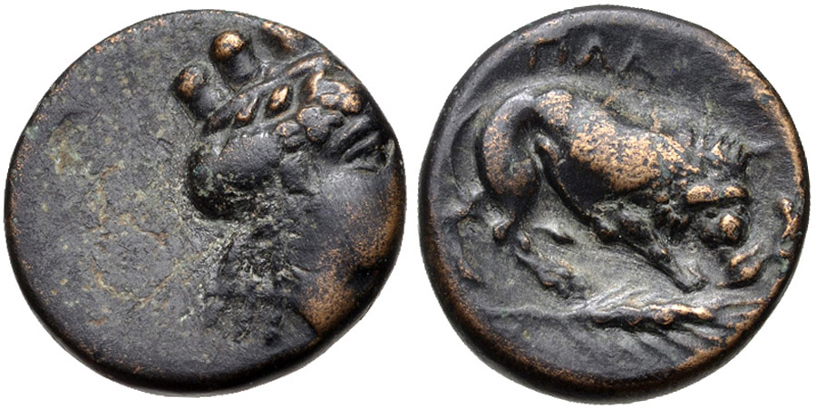 ANTİK SİKKELER NÜMİZMATİK_PL54X (8).jpg